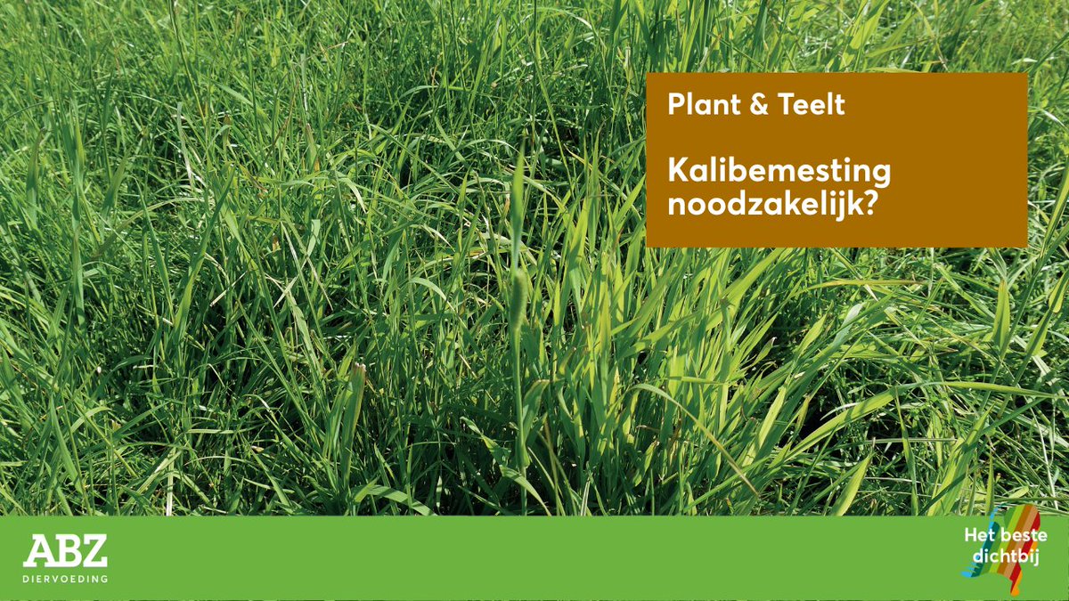 ★ Kalibemesting noodzakelijk? ★

Nu een deel van de ondernemers al voor de 3e keer dit jaar heeft gemaaid en de rest dat moment spoedig zal hebben, dreigen tekorten. 

Lees meer: bitly.cx/SuFpu