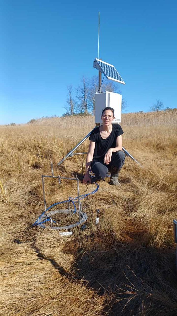 EnvGeomechLab's tweet photo. 🌿 Coastal wetlands are vanishing fast.

The #PRESERVEproject (https://t.co/ZCAaCJyi9S)is tackling this with fieldwork, lab experiments, and modeling, linking plant roots, soil, &amp; sea level rise to design nature-based solutions for coastal resilience. 🌊🌱

#Wetlands #soil #sea https://t.co/MCf785neGj