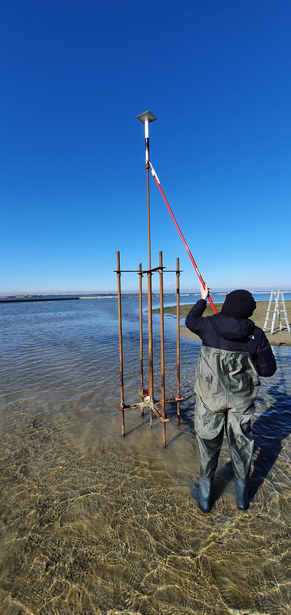 🌿 Coastal wetlands are vanishing fast.

The #PRESERVEproject (preservewetlands.eu/pi/)is tackling this with fieldwork, lab experiments, and modeling, linking plant roots, soil, &amp; sea level rise to design nature-based solutions for coastal resilience. 🌊🌱

#Wetlands #soil #sea