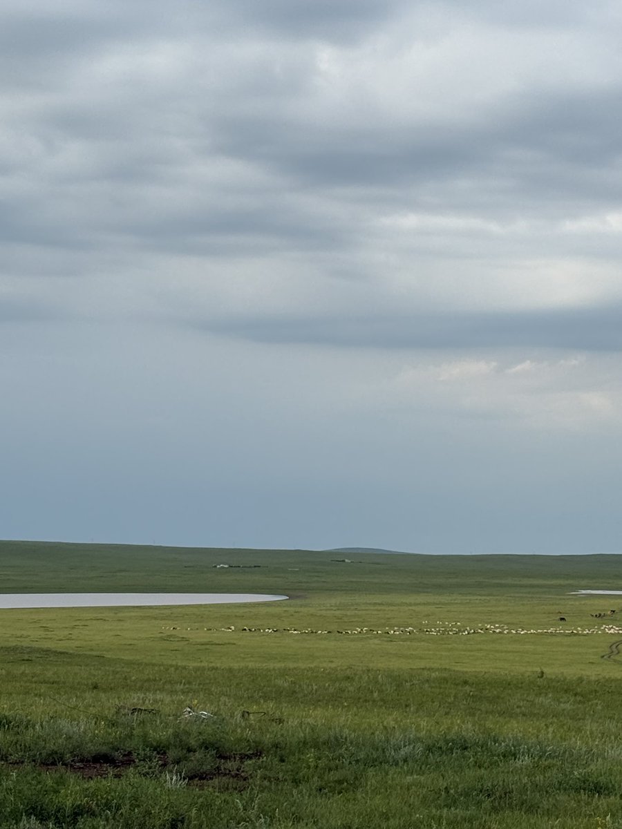 buguud's tweet image. Тал сайхан нутагтай билээ!