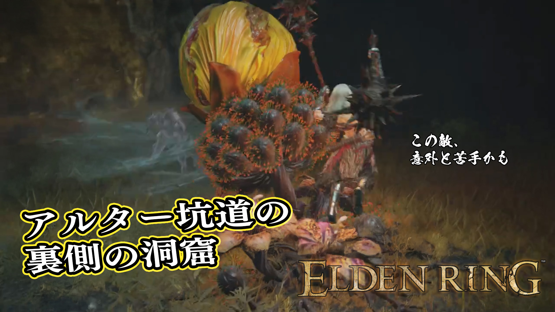 値下げOK 希少 エルデンリング タペストリー BenQ ELDENRING Elden Ring | Games & Merchandise | BANDAI NAMCO
