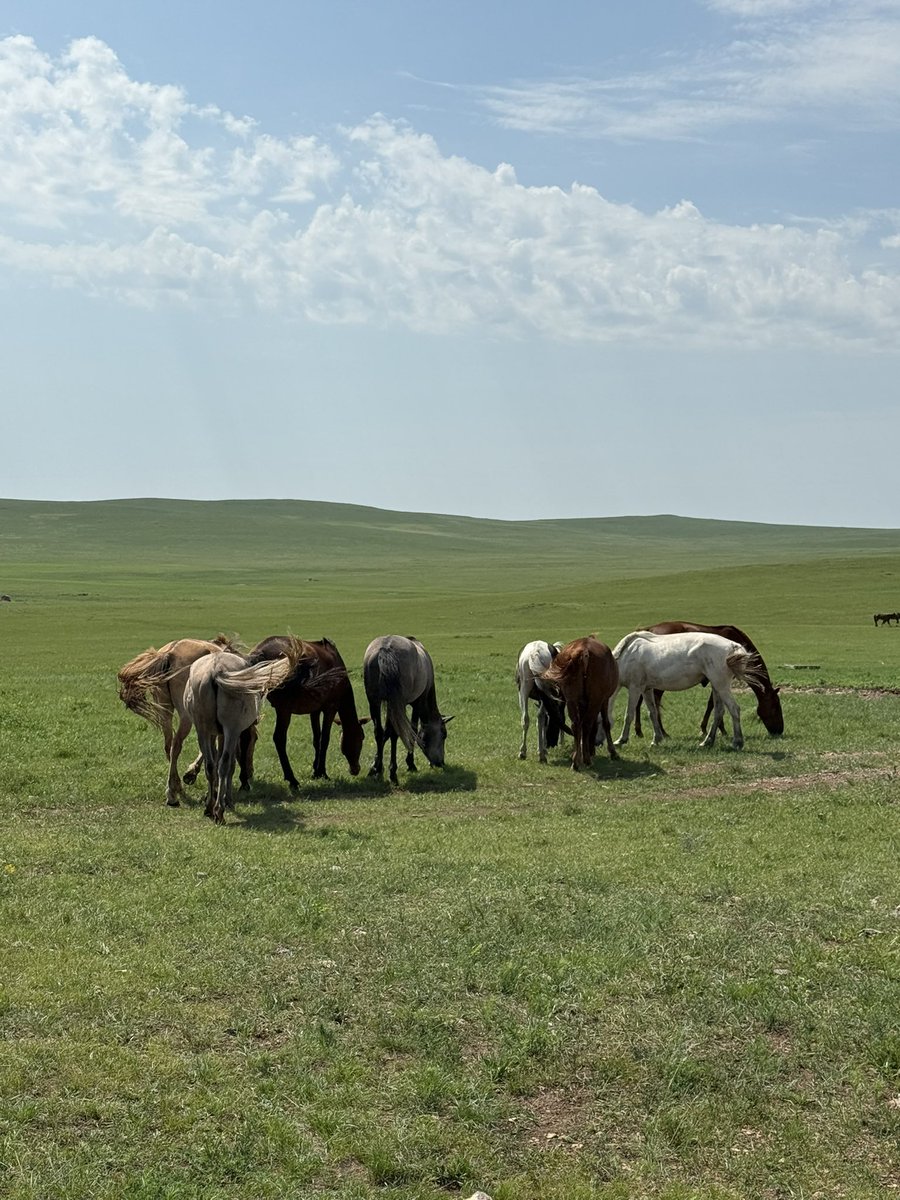 buguud's tweet image. Цэцгийн гурван сар..