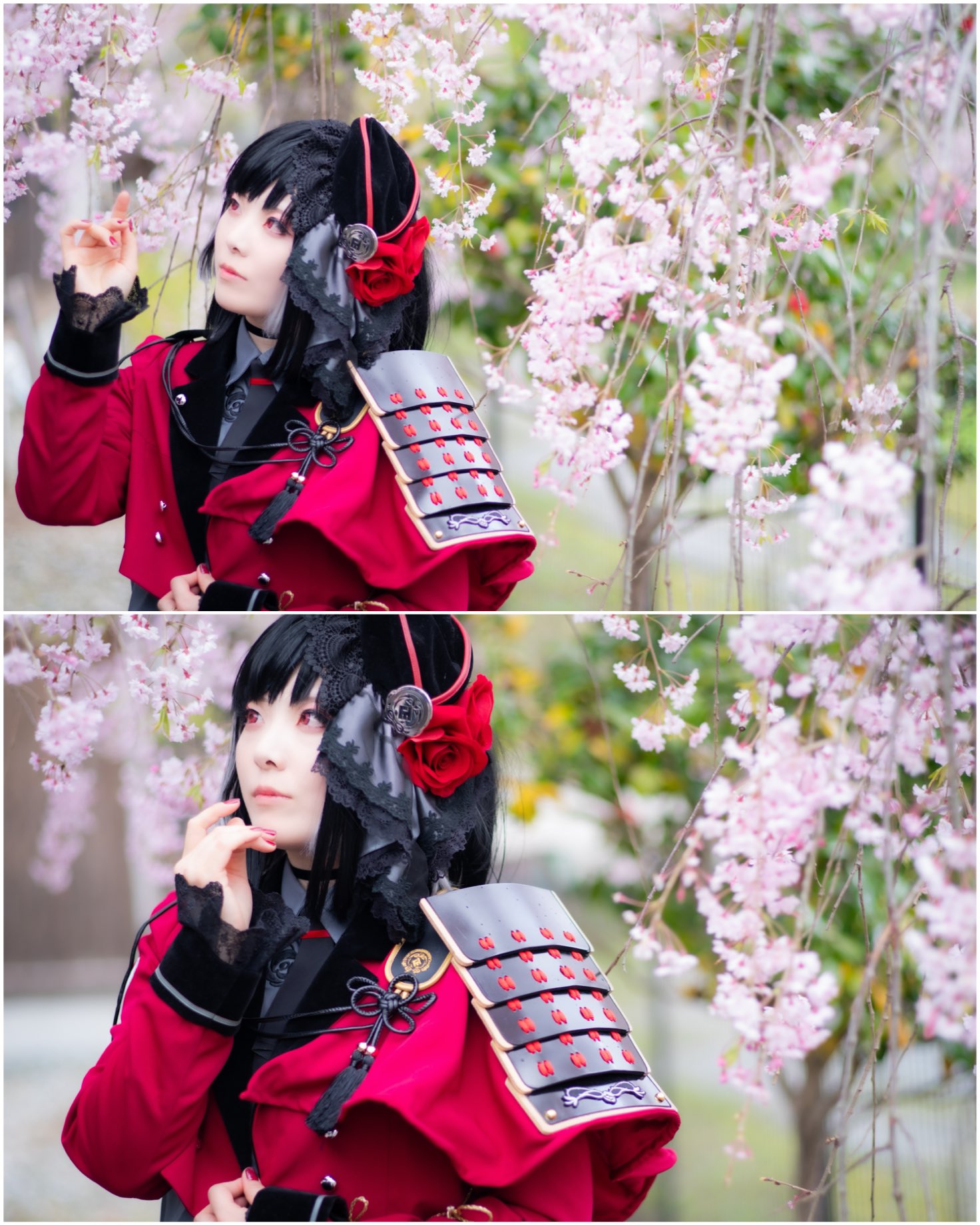 ろっこう様㉑大きめ苗! 青鬼❣️紅染華❣️桜子❣️雪つぼみ❣️メルカリ便込 さくらこ on X: 