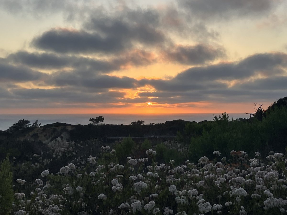 Люблю тут природу