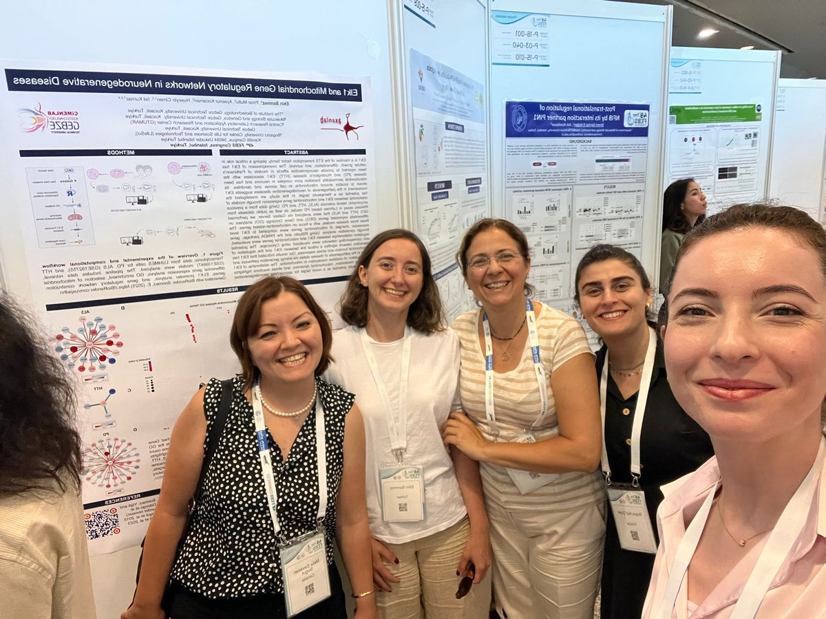 isil_aksan's tweet photo. Past and present members of @AxanLab at @GtuEduTr molecular biology and @GtuBiotech presented their work at
#FEBSCongress2025 Istanbul, and we co-organized a session as #CellDeathResearchSocietyTR #HOAD
It was nice to see old friends and colleagues 🌷 https://t.co/d8ywfJRgX2