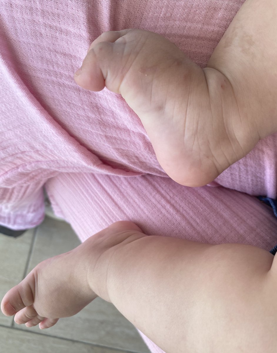 Bana bugün böyle ayakları olan bir şey emanet edildi birkaç saatliğine günüm güzelleştiii🫠