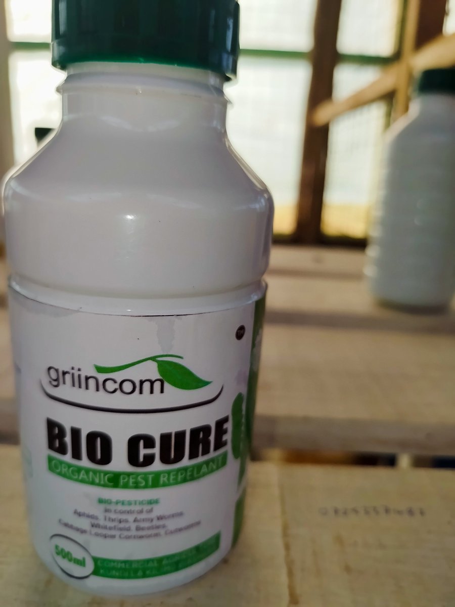 griincom's tweet photo. Hello farmers, how is your organic farming venture coming along?  

Are the crops vibing with our organic inputs ?

#Griincom
#ThinkOrganic https://t.co/MVtQ6az170