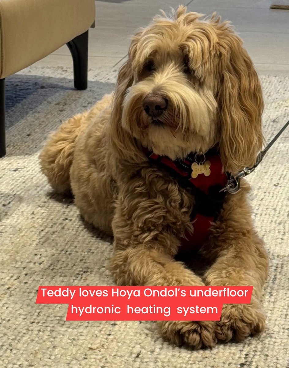 AustSunEnergy tweet picture