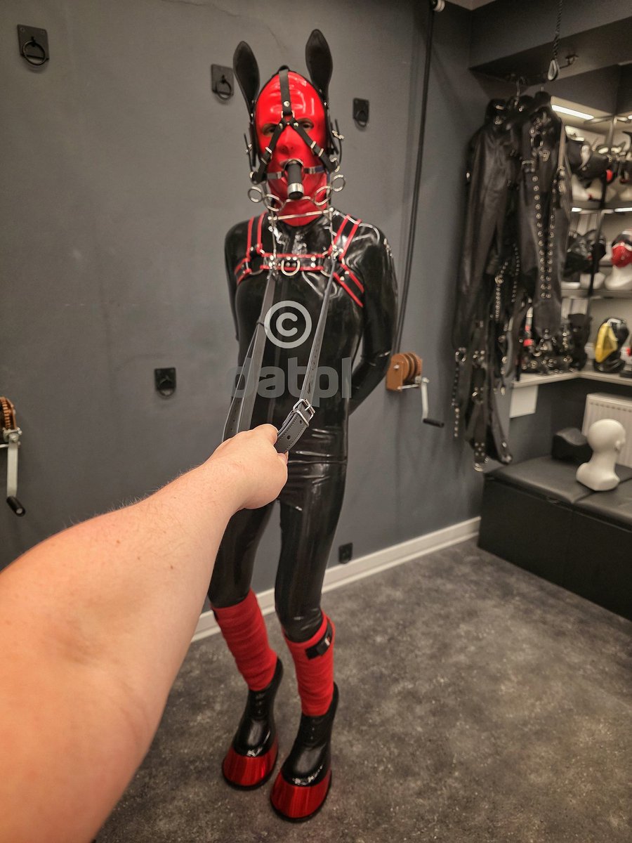 datpl.bsky.social (@pup_datpl) on Twitter photo Would you dare to saddle up this stallion?
Hoof boots by <a href="/HorsekingEric/">Horseking-Design</a>
Gag by <a href="/steel_toys/">Hot Steel Toys</a>
#ponyplay #latexhorse #latex Would you dare to saddle up this stallion?
Hoof boots by <a href="/HorsekingEric/">Horseking-Design</a>
Gag by <a href="/steel_toys/">Hot Steel Toys</a>
#ponyplay #latexhorse #latex