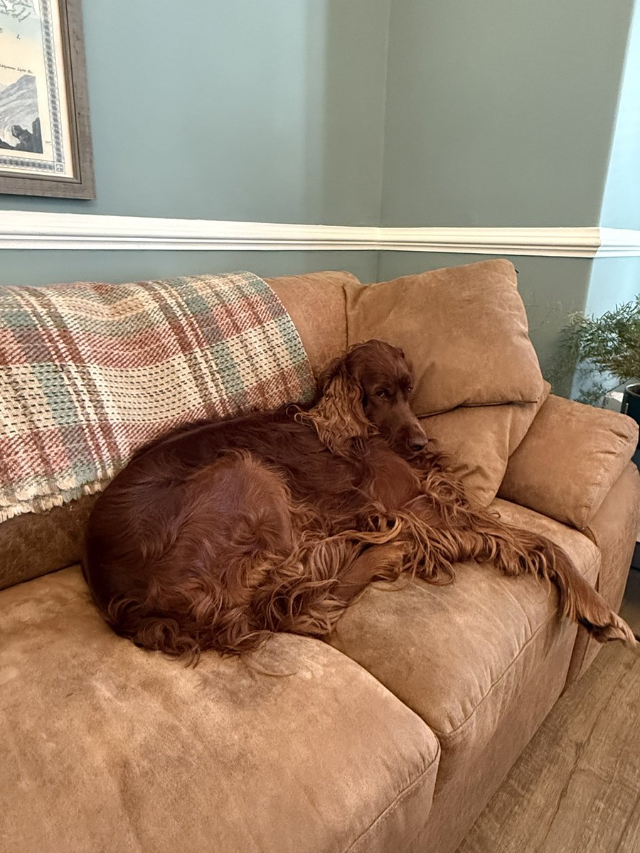 baronlordvader's tweet image. Coworker is clearly taking a lunch break…
#setterlife