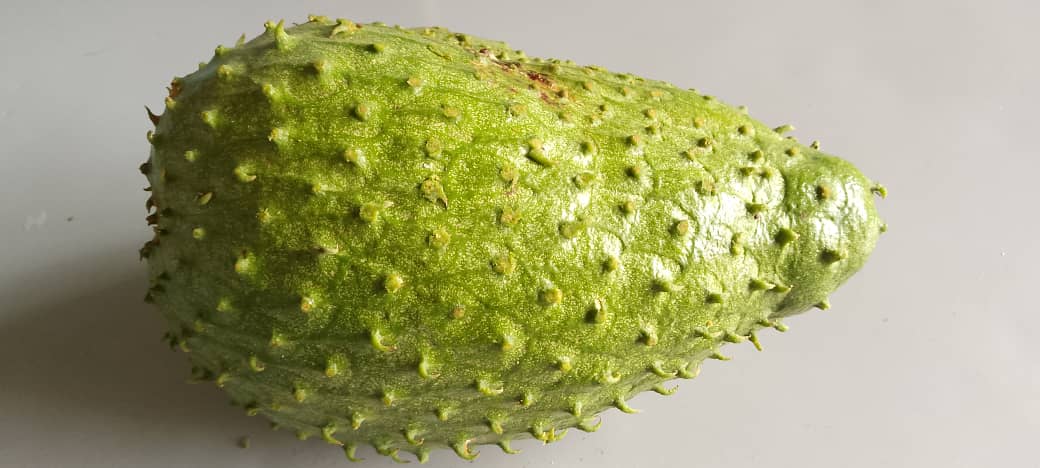 TaddewoS's tweet image. Soursop (ekitaferi): This was a giant one. Its juice is the best! Consider planting a few. It's healthy. #BackyardFarming