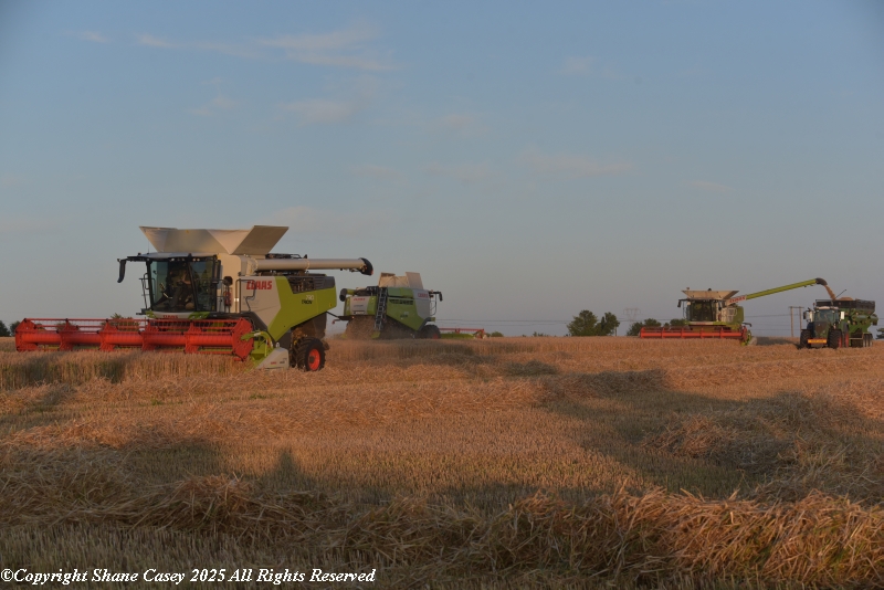 #Harvest2025 Great to get out the last 2 evenings after work with the camera to give myself a bit of head space and unwind a bit. Just have to keep the head down and drive on, but what a result yesterday evening (July 8th), so glad I took the "long" way home
#PureChance