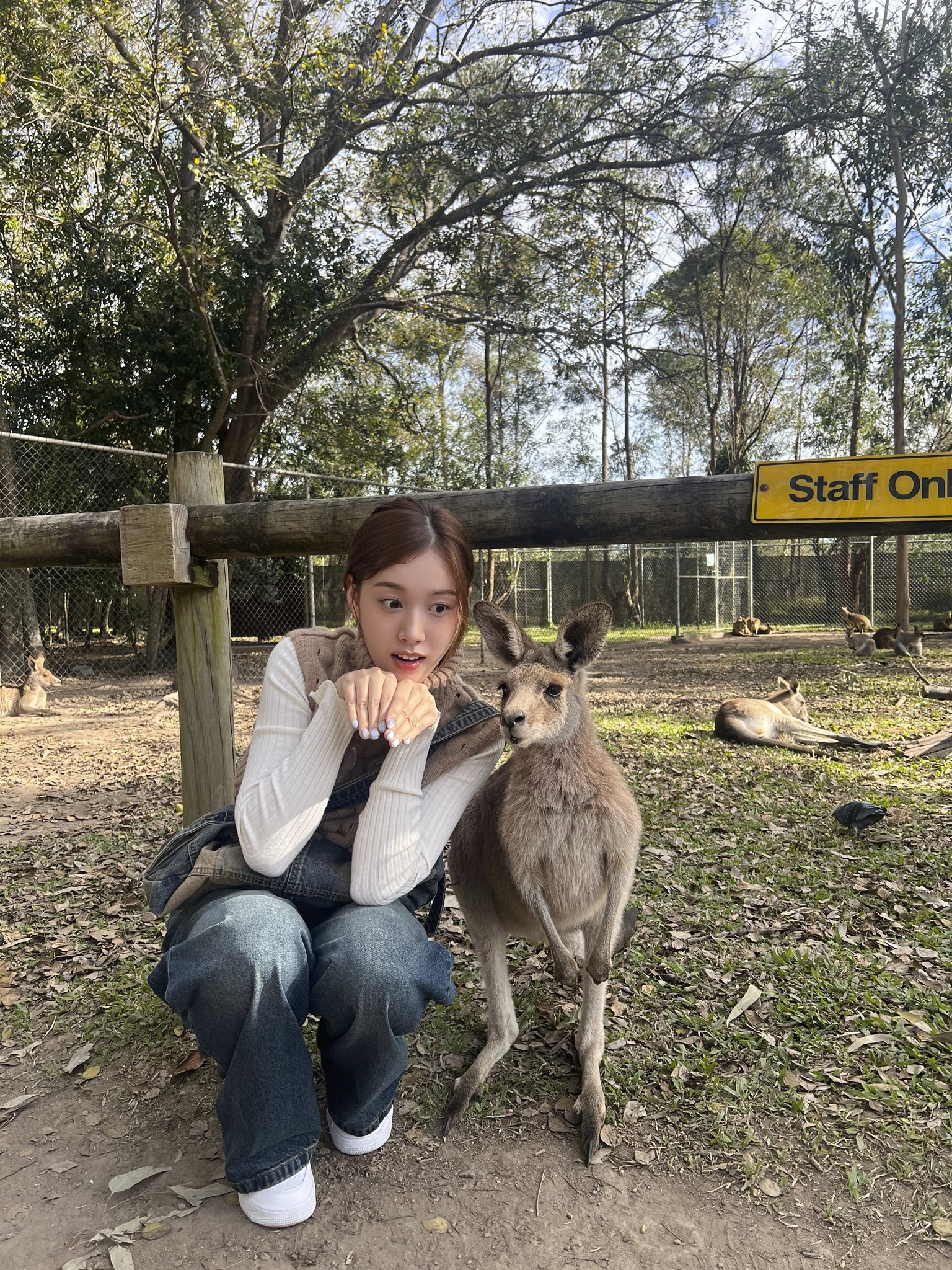 GvaX2wLWMAAHXI4?format=jpg&name=large