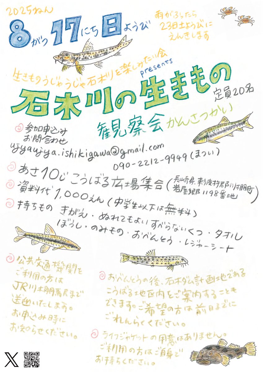 生きものうじゃうじゃ石木川 tweet media