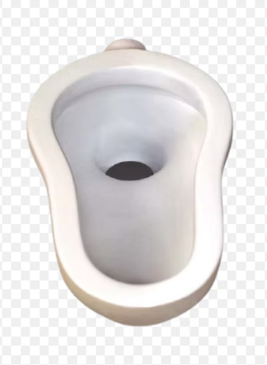 Which toilet bowl do you prefer?
This                        or                   that?