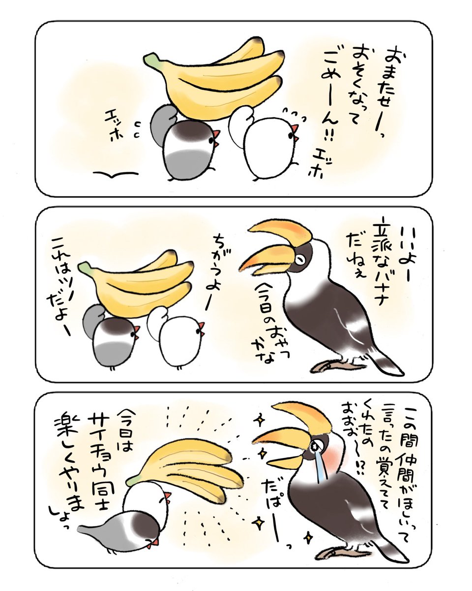 オオサイチョウとぶんちょたち 