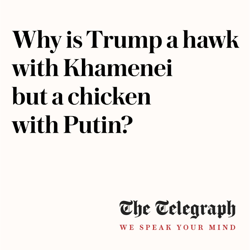 Telegraph's tweet photo. Every day, Telegraph journalists spark debate and uphold the values that matter to our readers.