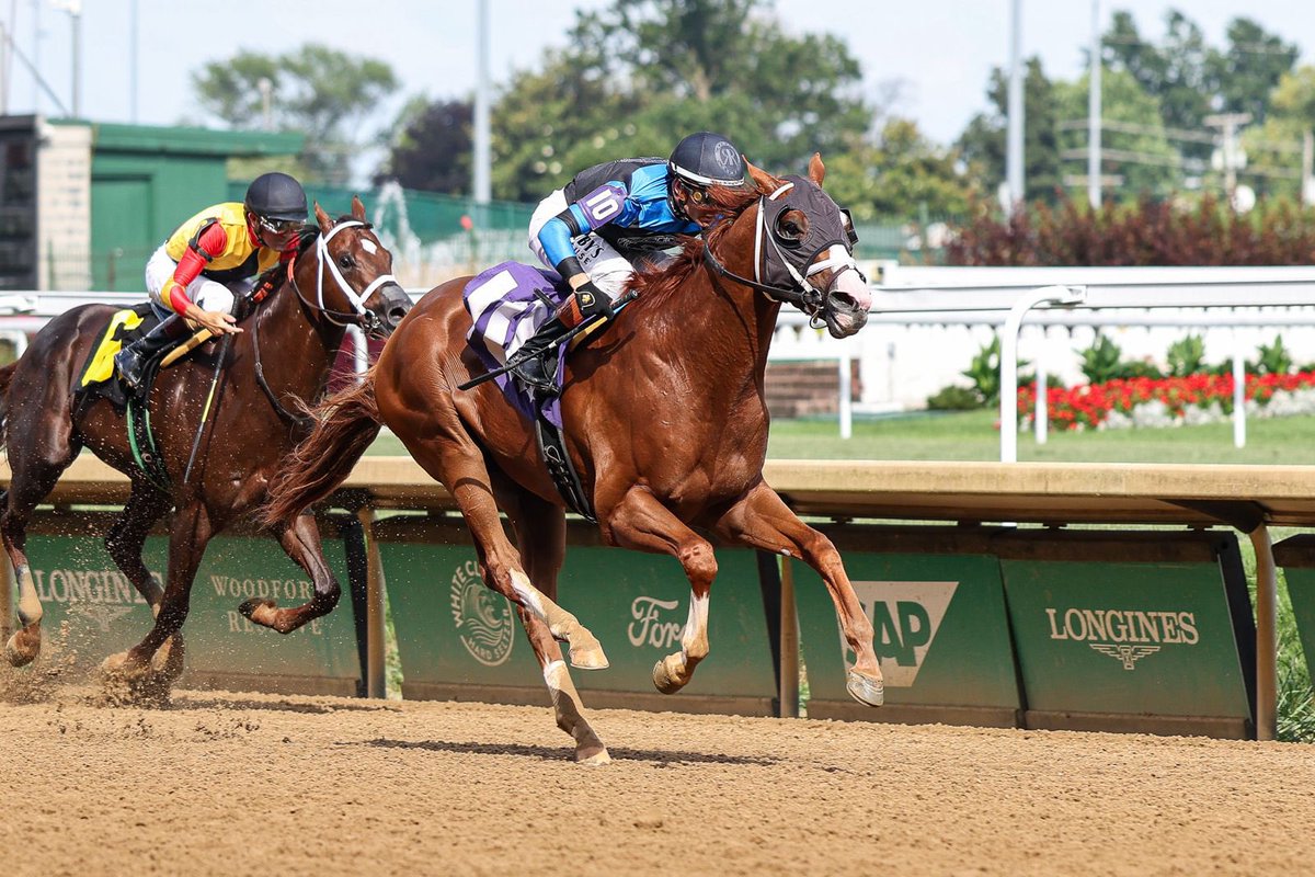 Jstewartrr (@jstewartrr) on Twitter photo Have you ever dreamed of having a horse run in your silks in a Geade 1 <a href="/Saratogaraces1/">Saratogaracecourse</a>?
Now is your chance. <a href="/resracingky/">Resolute Racing</a> is proud to offer a 25% ownership opportunity in VERFIRE on the <a href="/inglisdigitalus/">Inglis Digital USA</a> platform.
The winning bidder will be able to have their silks worn in his Have you ever dreamed of having a horse run in your silks in a Geade 1 <a href="/Saratogaraces1/">Saratogaracecourse</a>?
Now is your chance. <a href="/resracingky/">Resolute Racing</a> is proud to offer a 25% ownership opportunity in VERFIRE on the <a href="/inglisdigitalus/">Inglis Digital USA</a> platform.
The winning bidder will be able to have their silks worn in his
