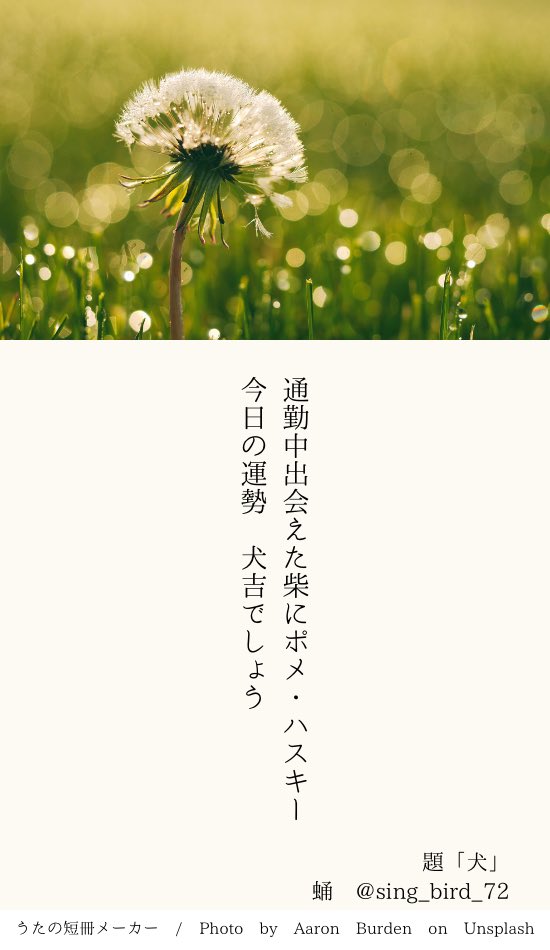 250709 うたたね投稿 題「犬」
#短歌 #tanka