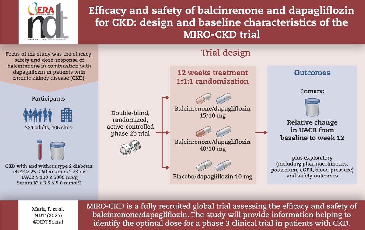 NDTsocial's tweet photo. Efficacy and safety of balcinrenone and dapagliflozin for CKD: design and baseline characteristics of the MIRO-CKD trial

https://t.co/ox7do25IVu https://t.co/Np1eFKDHtP