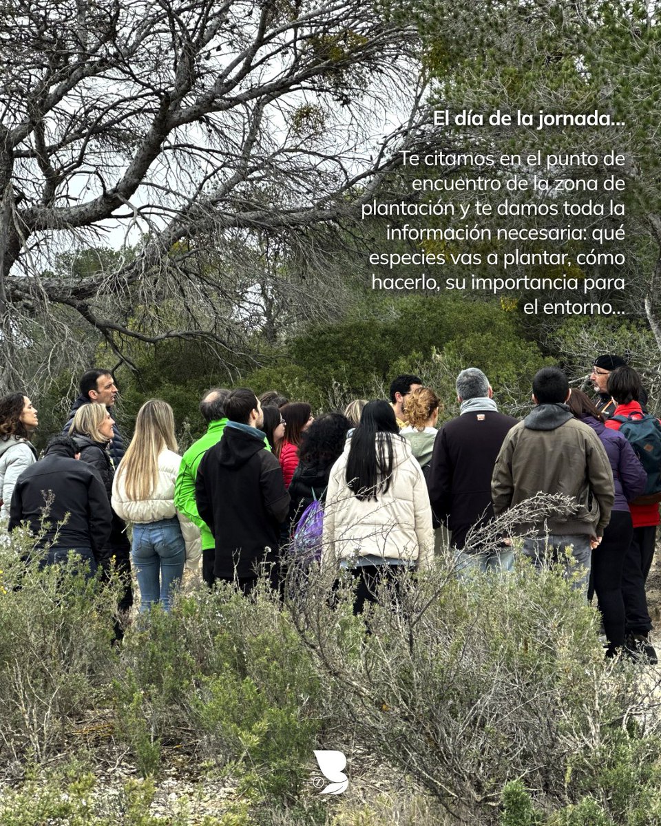 BosqueZaragozanos tweet media