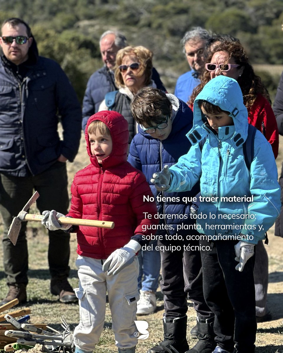BosqueZaragozanos tweet media