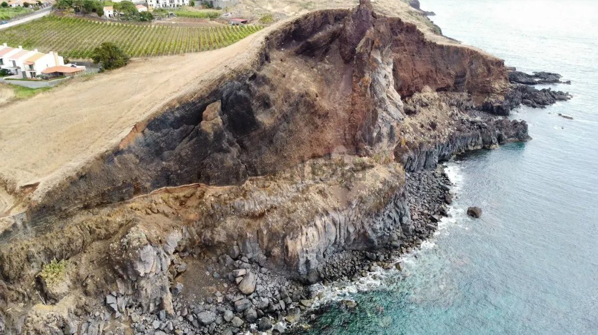 cubensis528's tweet photo. @daiddosnadad @grizzledcheese also in madeira https://t.co/iCAv3R7GOJ
