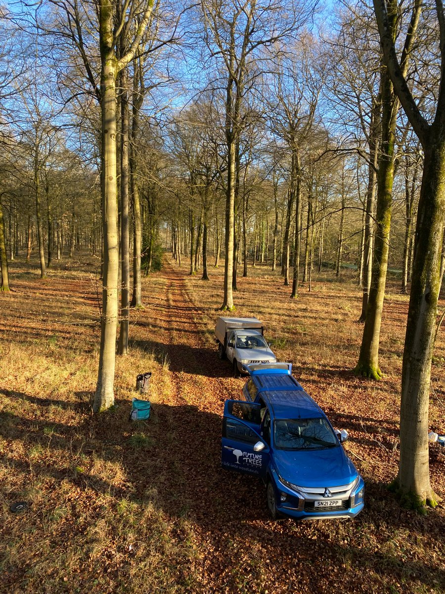 FutureTreesUK's tweet image. 🌱 Seed by Seed: Highlights from Our Annual Report 🌳
From Devon to Cumbria, our team has been grafting, planting & preparing the future of native trees
• 109 beech & 62 hornbeam plus trees
• 1,000 cherry grafts @ForestryComm
futuretrees.org/news-and-insig…