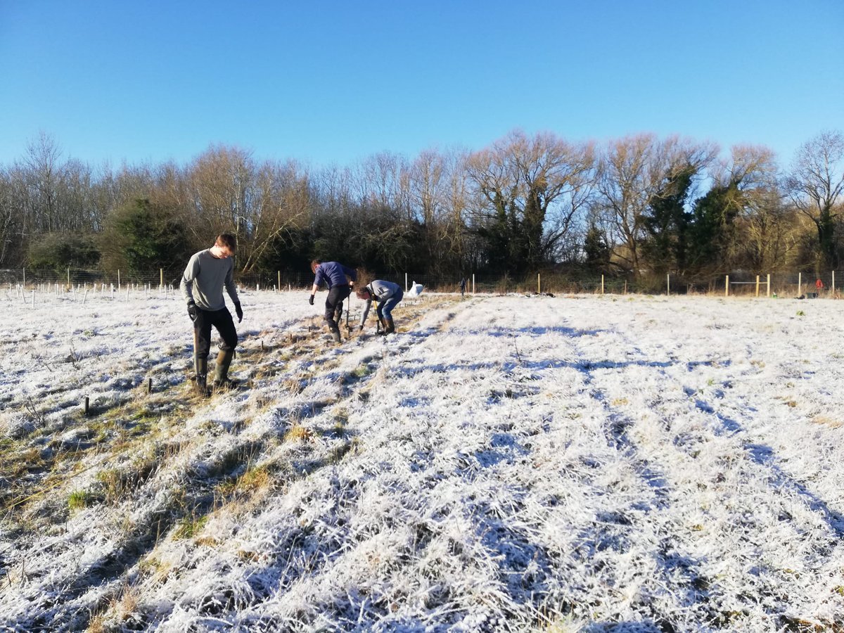 FutureTreesUK's tweet image. 🌱 Seed by Seed: Highlights from Our Annual Report 🌳
From Devon to Cumbria, our team has been grafting, planting & preparing the future of native trees
• 109 beech & 62 hornbeam plus trees
• 1,000 cherry grafts @ForestryComm
futuretrees.org/news-and-insig…