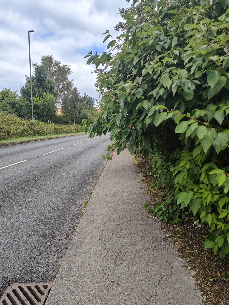 danjones1989's tweet photo. @CaerphillyCBC still not done. Having to walk on a really busy road now. https://t.co/nVzYvov1uA