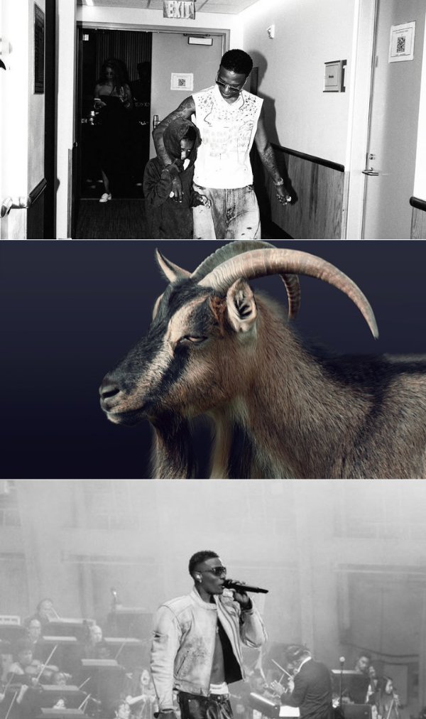 ILORINBOY_10's tweet image. Retweet if you're a WizKid FC ❤️🦅