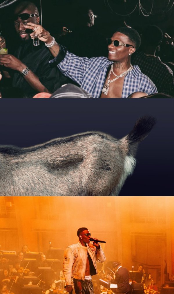 ILORINBOY_10's tweet image. Retweet if you're a WizKid FC ❤️🦅