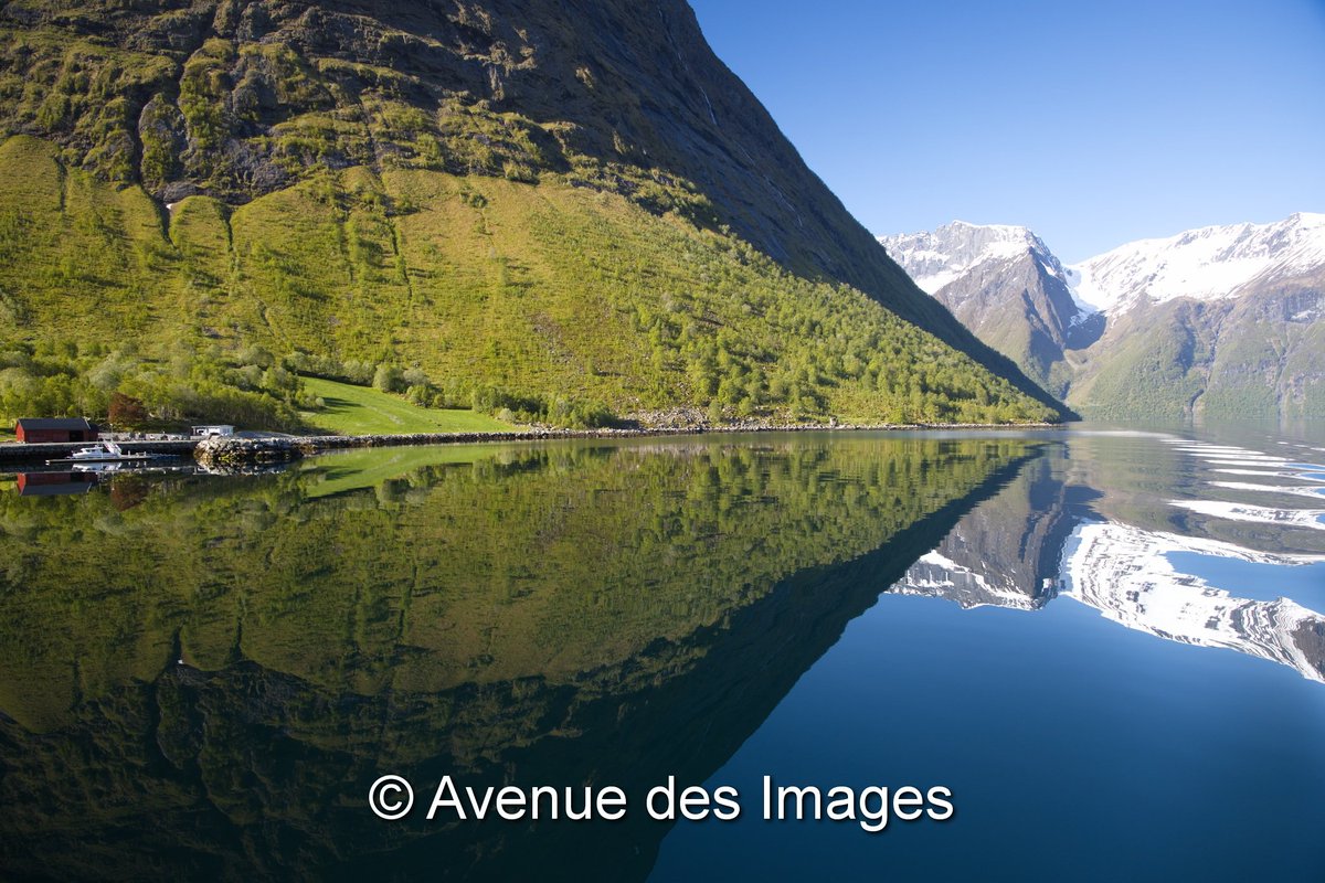 Avenue des Images tweet media