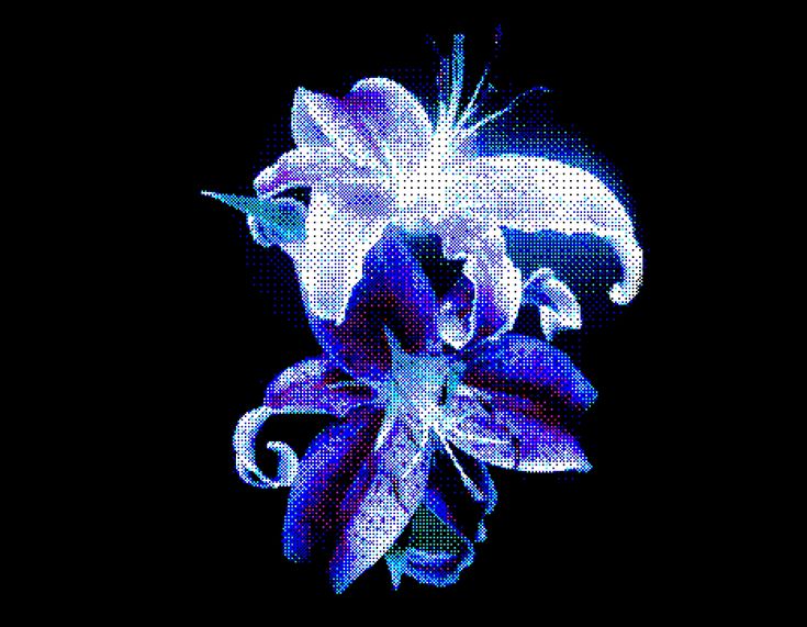 cxtetootsie's tweet photo. #promotwt #moothunt

           @  tootsie  ノ aether. eng
         15　—    INTP   —    he / him
               EST ︵    genderfaun
          ♡  /  ↺ to moot + rspbyf!!

#twsttwt , #orvtwt , #yumetwt , #kpoptwt ,    
  #txttwt   ,  #tgcftwt ,  #btstwt https://t.co/N3QDCHdv3F