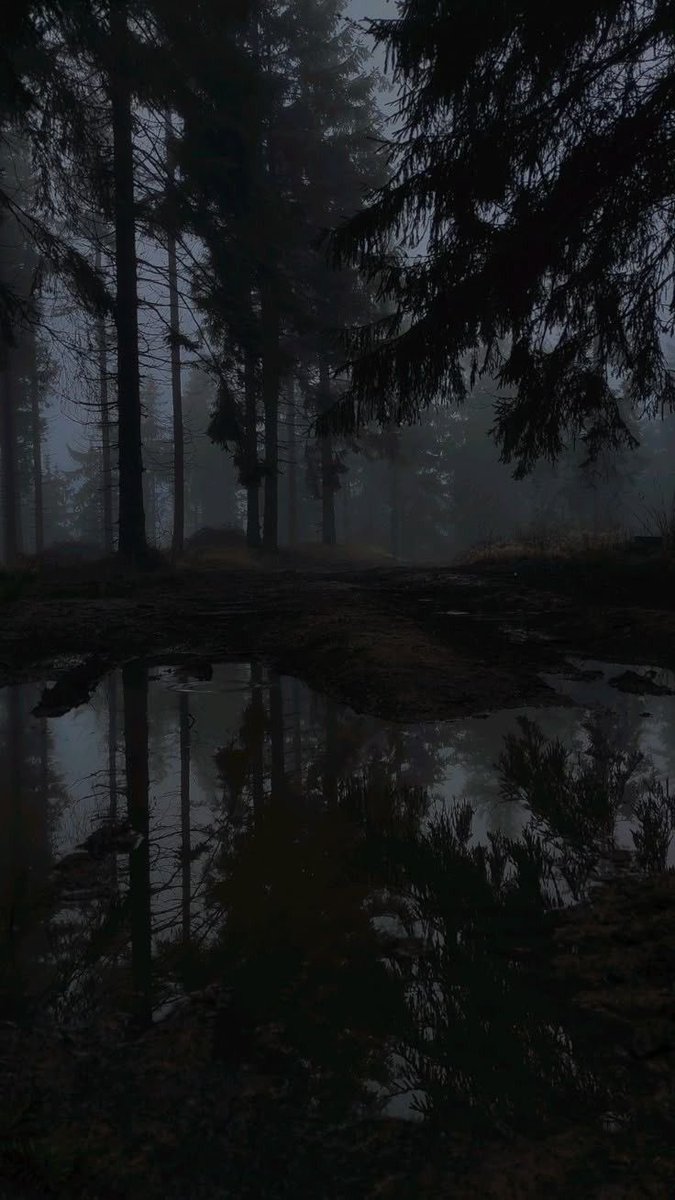 420blaeseit's tweet photo. I got bored and decided to explore a really large forest. 
Am I lost? Yes. 
Is something hunting me? Also yes. 
K bye ~ https://t.co/JgAoWvN7jg