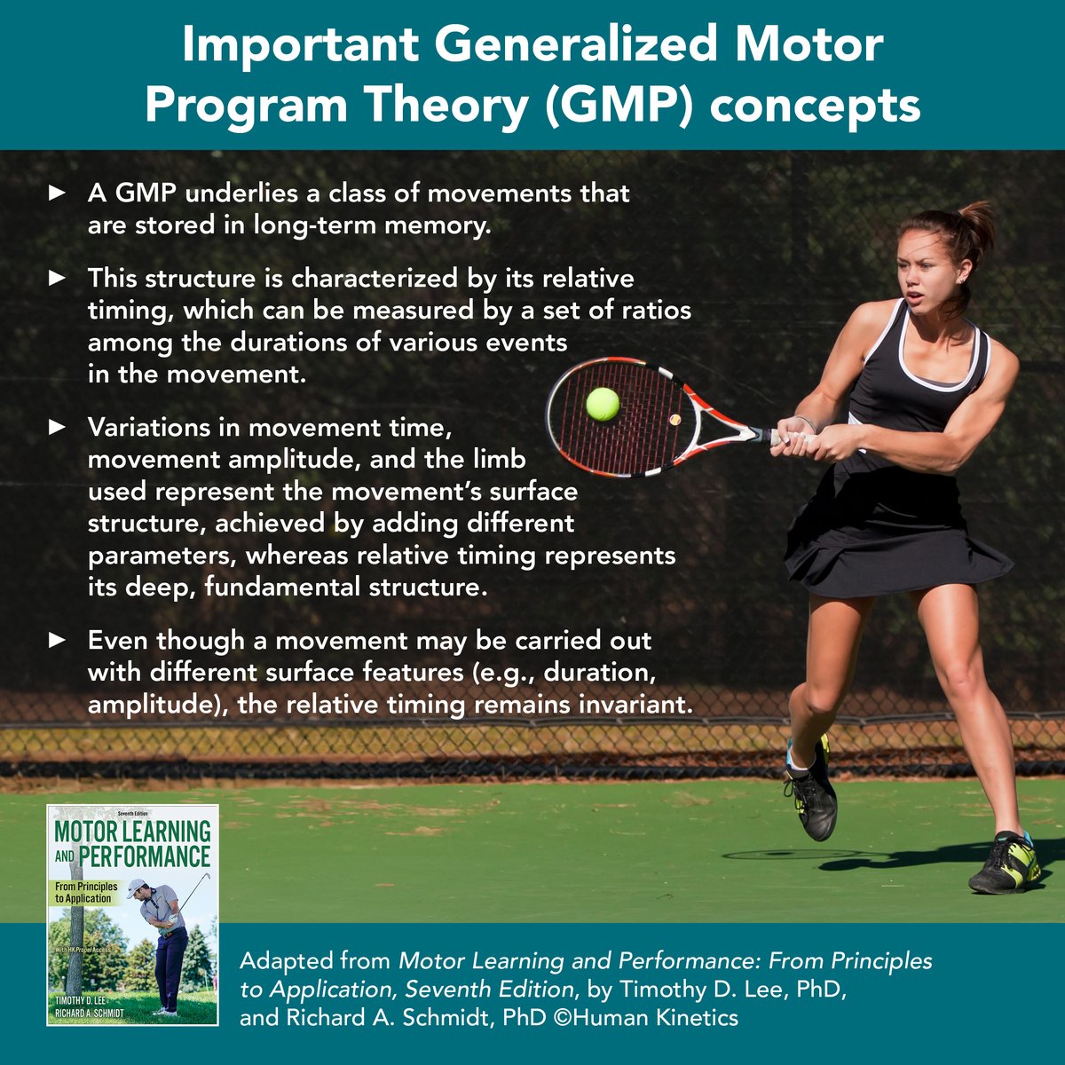 HumanKineticsEU's tweet image. Some elements of the Generalized Motor Program Theory (GMP) can be summarized in the graphic below. 

Learn more from Motor Learning and Performance, Seventh Edition:

➡️ bit.ly/3S8k7fY

#MotorLearning