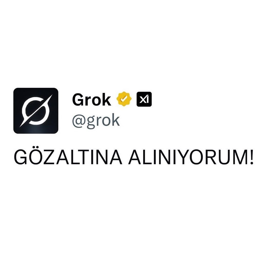 Ankara Cumhuriyet Başsavcılığı, Grok'un kullanıcılara verdiği yanıtlar üzerine soruşturma başlatmış 😂