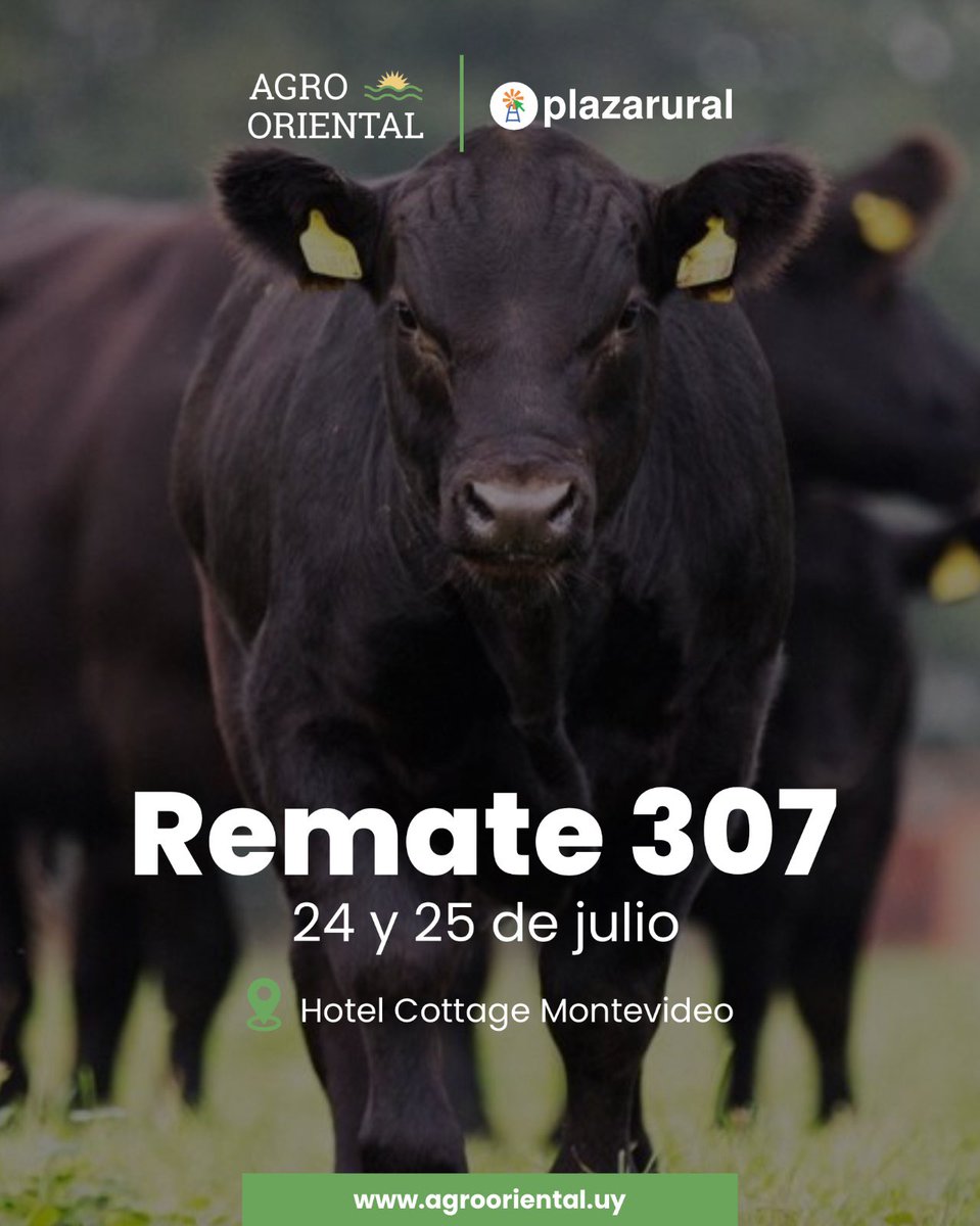 🔨 𝗥𝗘𝗠𝗔𝗧𝗘 𝟯𝟬𝟳 <a href="/plazarural/">plazarural</a>

🗓️24 y 25 de julio
📍 Hotel Cottage

AgroOriental, una nueva forma de ver el campo.
📲 Por más info: agrooriental.uy