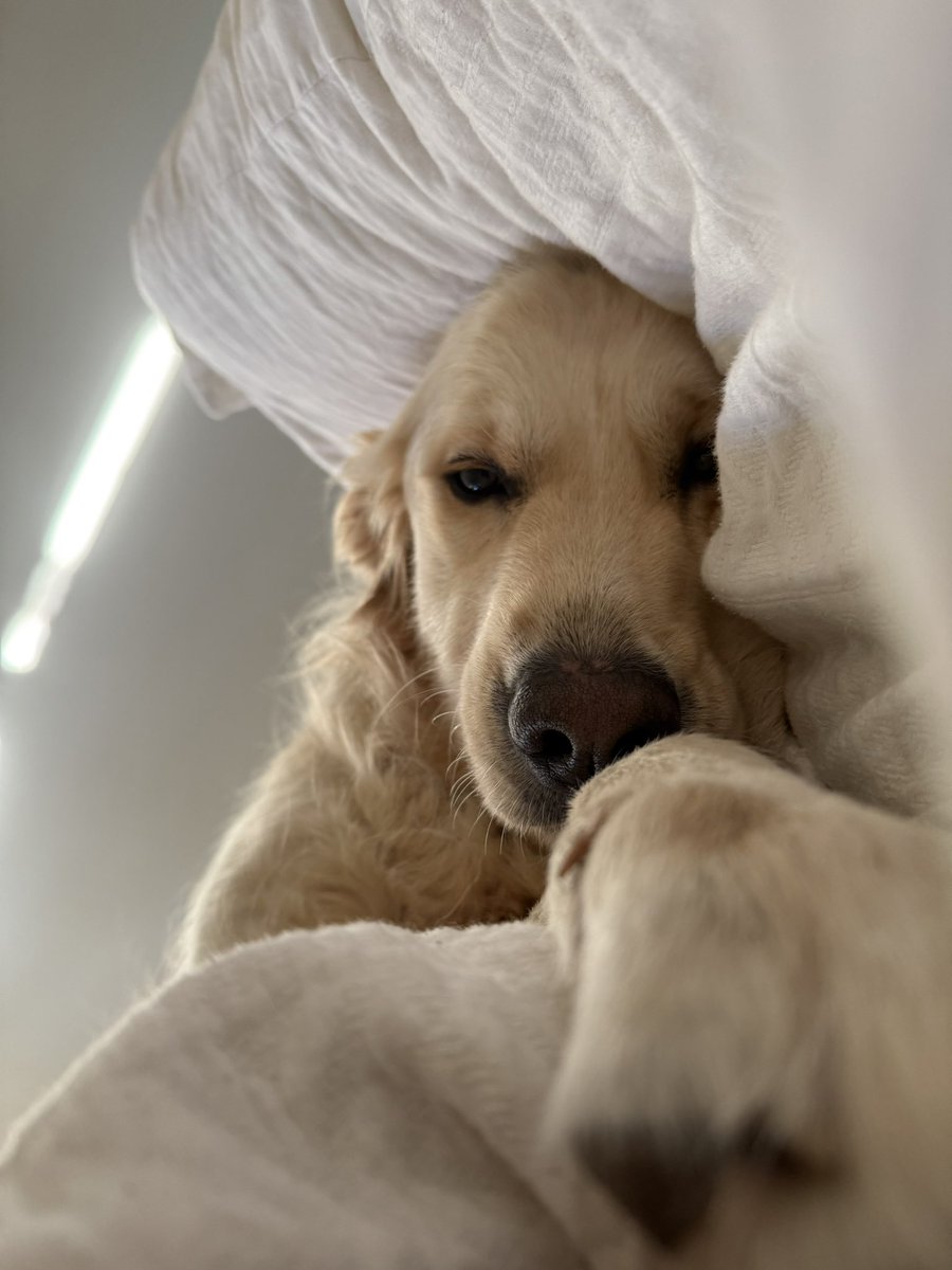 Stephanie ♡ tweet media