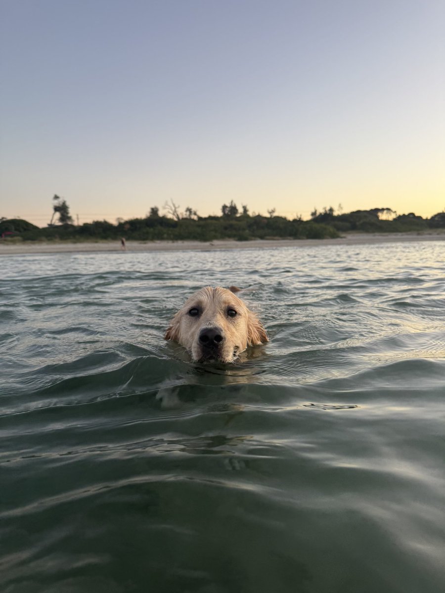 Stephanie ♡ tweet media