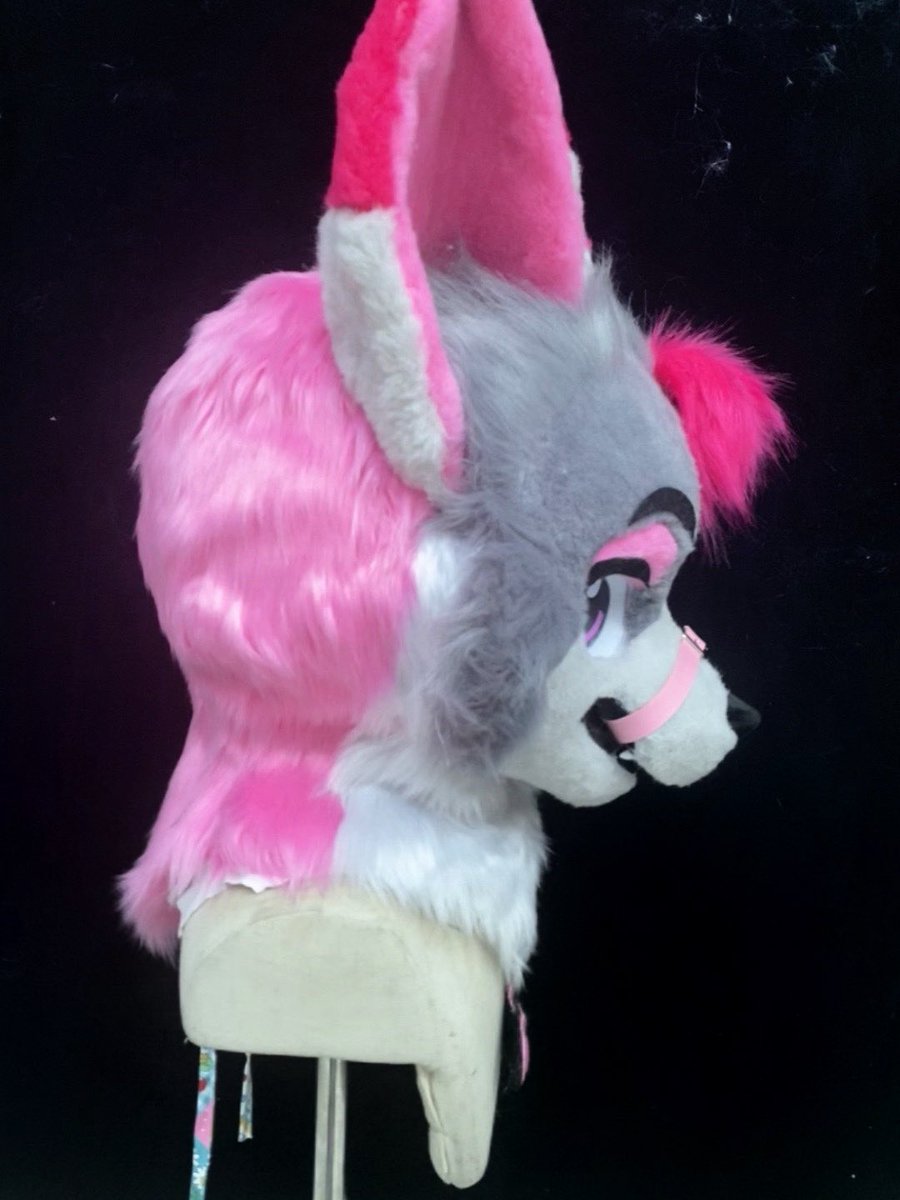 FurryCe's tweet photo. Making American animal costumes for the first time

Welcome to ask for a price and adopt
#Furry #oc #American beast costume https://t.co/knZHMVvI7h