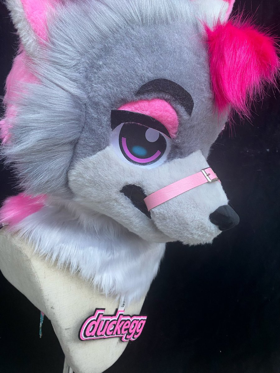 FurryCe's tweet photo. Making American animal costumes for the first time

Welcome to ask for a price and adopt
#Furry #oc #American beast costume https://t.co/knZHMVvI7h