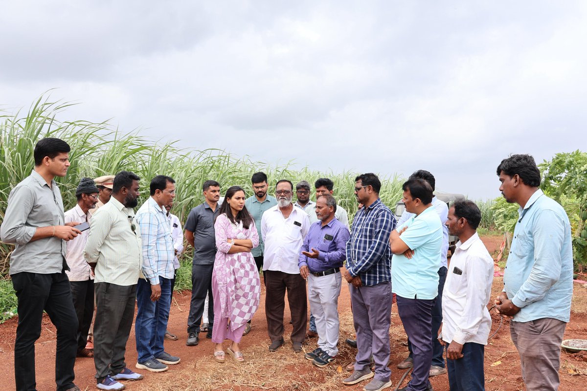 Collector Sangareddy (@collector_srd) on Twitter photo జహీరాబాద్ మండలం గోవిద్ పూర్ గ్రామంలో జిల్లా ఉద్యానవన శాఖ ఆధ్వర్యంలో రైతు నాగేశెట్టి 4 ఎకరాల పొలంలో మెగా ఆయిల్ ఫామ్ ప్లాంటేషన్ కార్యక్రమాన్ని జిల్లా కలెక్టర్ ప్రారంభించారు. <a href="/TelanganaCMO/">Telangana CMO</a> <a href="/TelanganaCS/">Office of Chief Secretary, Telangana Govt.</a> <a href="/IPRTelangana/">IPRDepartment</a> జహీరాబాద్ మండలం గోవిద్ పూర్ గ్రామంలో జిల్లా ఉద్యానవన శాఖ ఆధ్వర్యంలో రైతు నాగేశెట్టి 4 ఎకరాల పొలంలో మెగా ఆయిల్ ఫామ్ ప్లాంటేషన్ కార్యక్రమాన్ని జిల్లా కలెక్టర్ ప్రారంభించారు. <a href="/TelanganaCMO/">Telangana CMO</a> <a href="/TelanganaCS/">Office of Chief Secretary, Telangana Govt.</a> <a href="/IPRTelangana/">IPRDepartment</a>