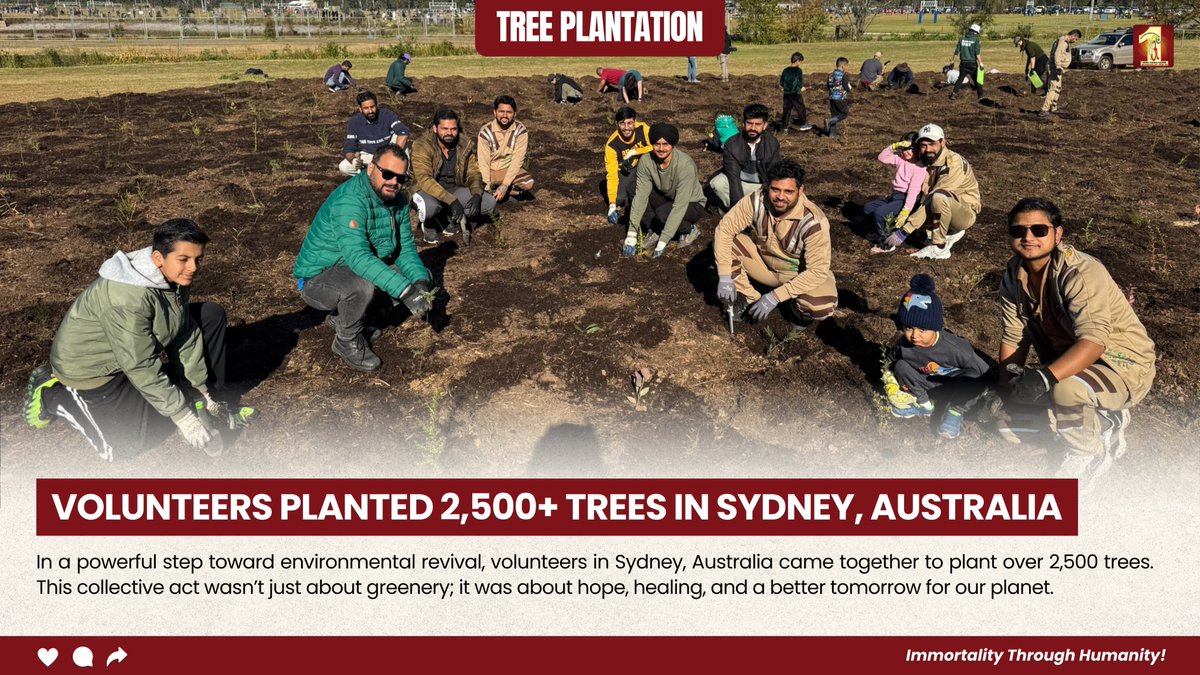 Dera Sacha Sauda tweet media