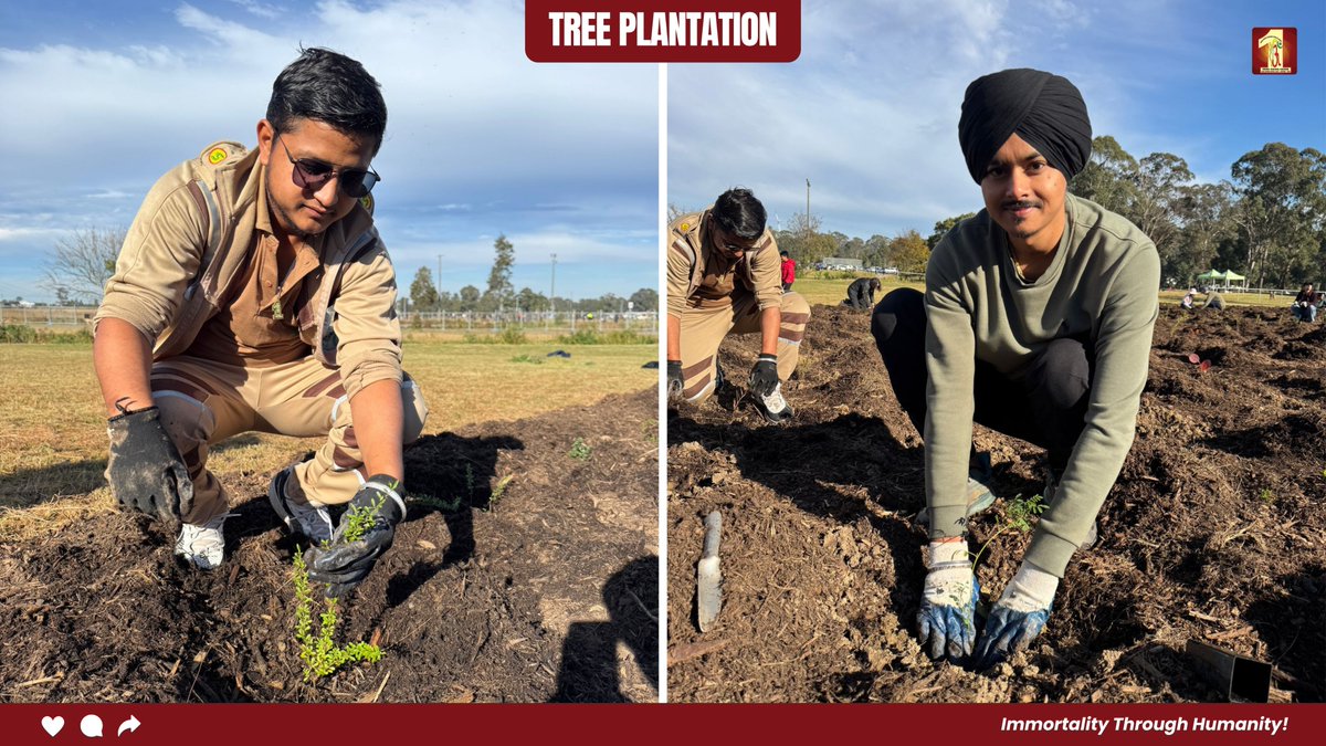 Dera Sacha Sauda tweet media