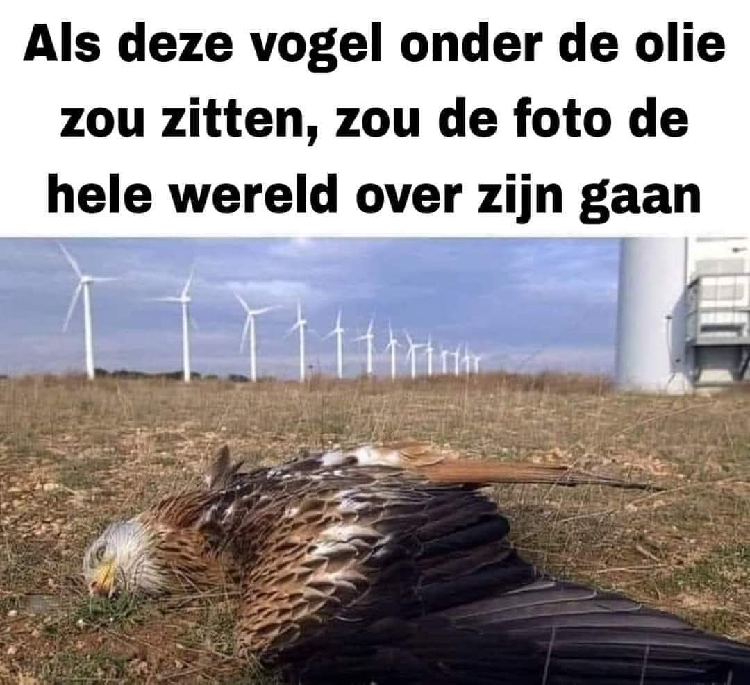 Wim den Oudsten (@wimdenoudsten) on Twitter photo 