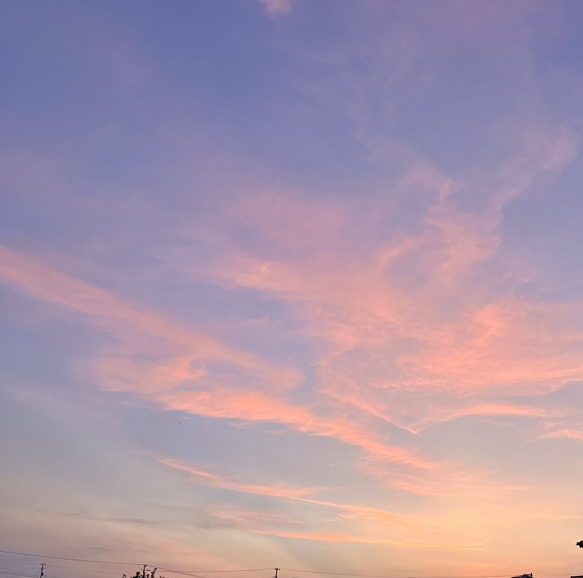 今日のお守り 本日の夕方は風があって歩きやすかった