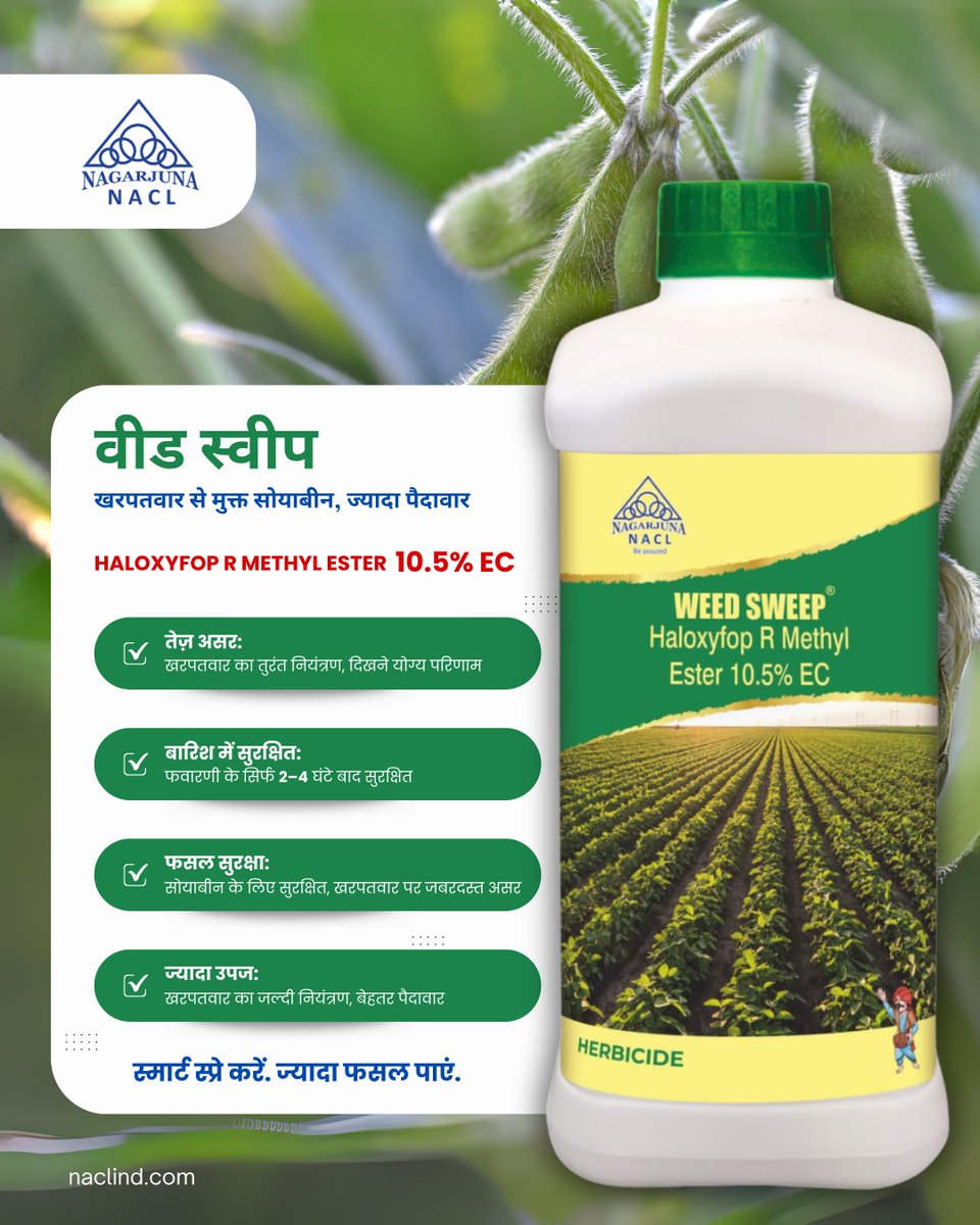 NaclIndLtd's tweet image. WeedSweep – Weed Free Soybean, Higher Yields
HALOXYFOP R METHYL ESTER 10.5% EC
✅ Fast weed knockdown
✅ Rain safe in 2–4 hrs
✅ Safe on soybean
✅ Boosts yield
Spray Smart. Harvest More.

#WeedSweep #SoybeanPower #MadhyaPradesh
#MPKisan #IndoreKisan #BhopalFarmers
#MPAgriculture