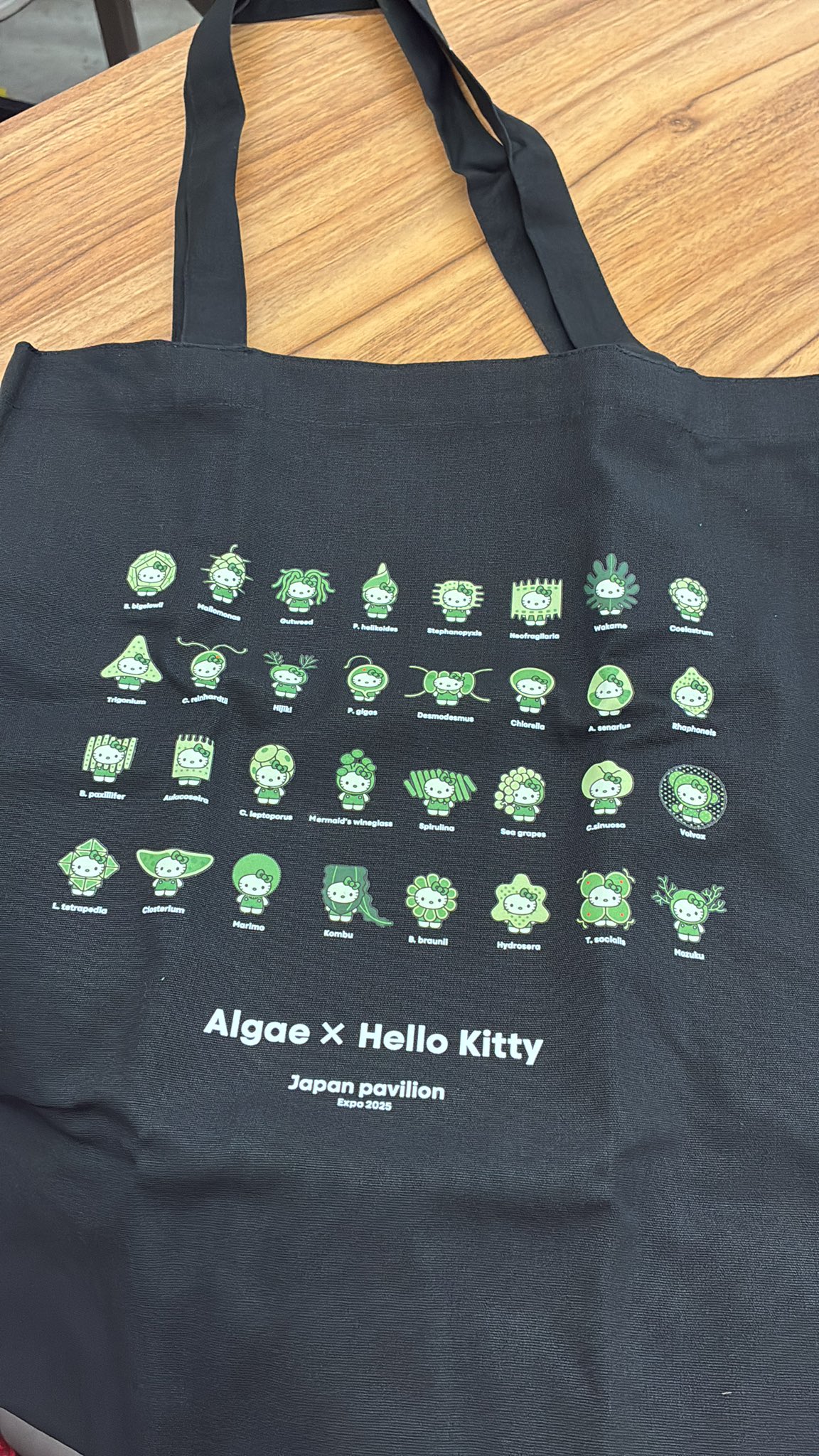 大阪•関西万博 日本館限定 ハローキティ キティちゃん トートバッグ M