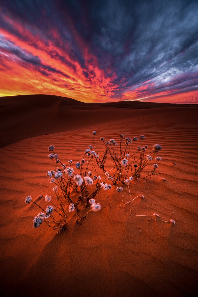 vastdepth's tweet image. I often shoot moments that don’t repeat, the awe of the world is addictive and it’s the only way to hold still what can’t be kept, the light, the mood, the silence and the chaos, all gone in seconds, one frame at a time.
Chase the conditions, capture the moment, create the…